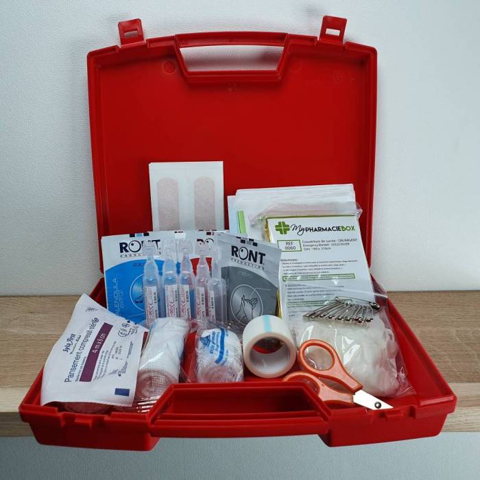 Petite trousse de secours compartimentée par cher (ceinture, avion) - My  Pharmacie Box